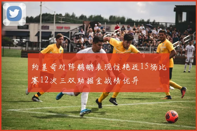 约基奇对阵鹈鹕表现惊艳近15场比赛12次三双助掘金战绩优异