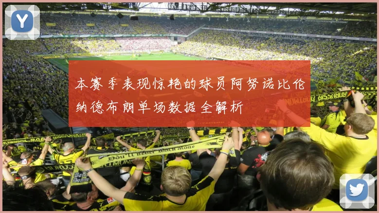 本赛季表现惊艳的球员阿努诺比伦纳德布朗单场数据全解析